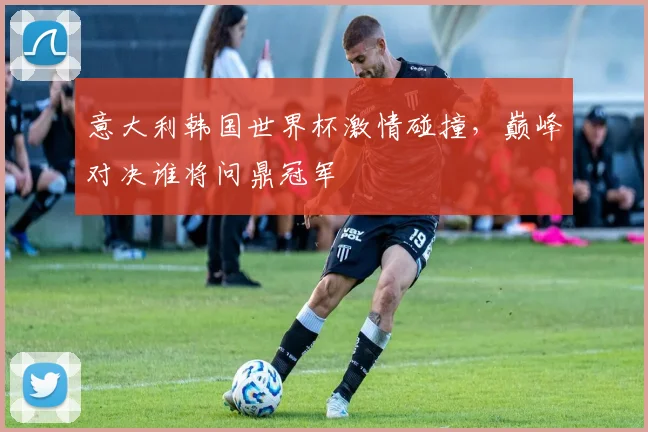 意大利韩国世界杯激情碰撞，巅峰对决谁将问鼎冠军
