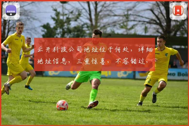 云开科技公司地址位于何处，详细地址信息，三重惊喜，不容错过，速来查阅