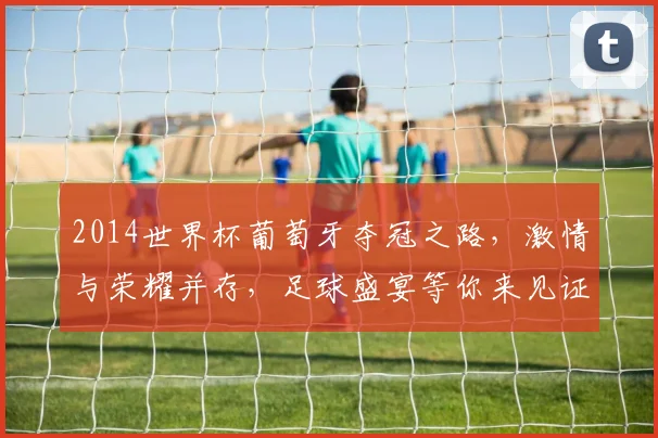 2014世界杯葡萄牙夺冠之路，激情与荣耀并存，足球盛宴等你来见证