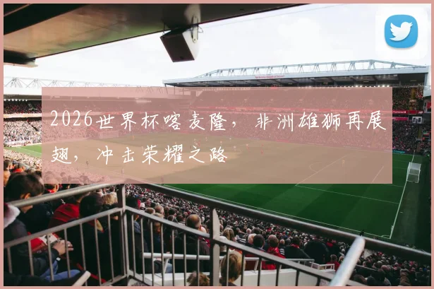 2026世界杯喀麦隆，非洲雄狮再展翅，冲击荣耀之路