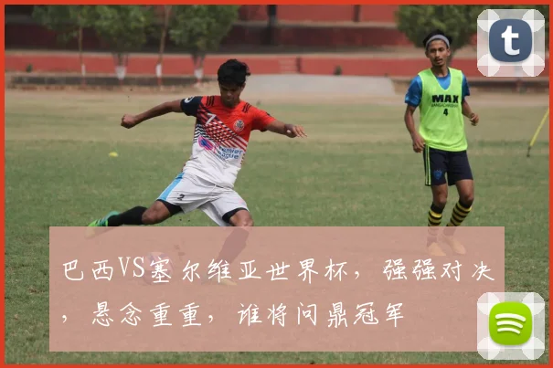 巴西VS塞尔维亚世界杯，强强对决，悬念重重，谁将问鼎冠军